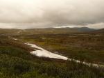 2008-07-04-124751-weg-98-ifjordfjellet