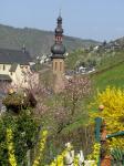 2009-04-10-Lente in Cochem