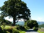 Wandeling naar de Stone Circle