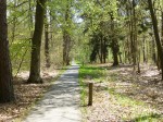 2013-5-11 Heerlijk door de bossen fietsen