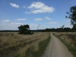 2013-5-14 over de heide