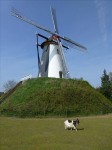 2013-5-2 Molen Heeze