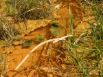 0066 Soos ijzerhoudende grond  met zeer helder water