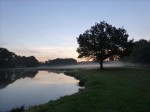 2013-10-040 Ochtend op Hoeve Springendal