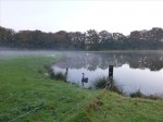 2013-10-041 Ochtend op Hoeve Springendal