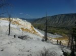 0276 Yellowstone Mammoth hot springs Canary spring