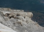0285 Yellowstone Mammoth hot springs, Canary spring