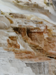 0292 Yellowstone Mammoth hot springs, Canary spring