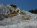 0311 Yellowstone Mammoth hot springs, Devil's thums