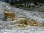 0314 Yellowstone Mammoth hot springs, Devil's thums