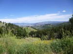 0325 Yellowstone, Blacktail Plateau Drive