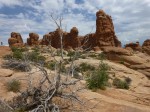 0555 Moab Arches