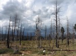 0952 Bryce Canyon