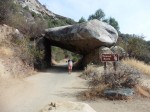 1123 Sequoia National Park