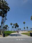 1188 LA Venice Beach