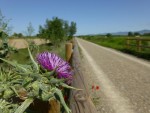 0041 fietspad naar Huesca