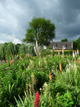 280 Les jardins du Manoir d'Eyrignac