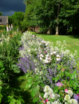 281 Les jardins du Manoir d'Eyrignac