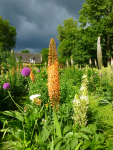 282 Les jardins du Manoir d'Eyrignac