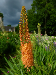 283 Les jardins du Manoir d'Eyrignac