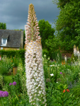 284 Les jardins du Manoir d'Eyrignac