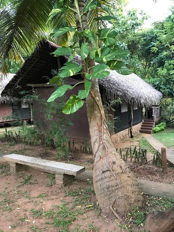 Udawalawa - Athgira River Camp